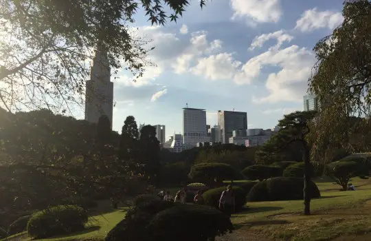 Shinjuku Gyoen National Garden Tokyo Japan