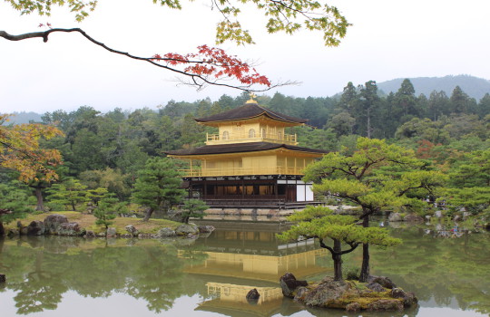 Golden Pavilion Temple Kinkaku-ji Kyoto