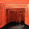 Red gates of Fushimi Inari-taisha temple Kyoto Japan
