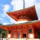 Konpon Daito Pagoda Koyasan Japan