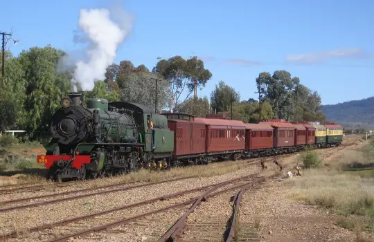 Trains in Quorn Australia