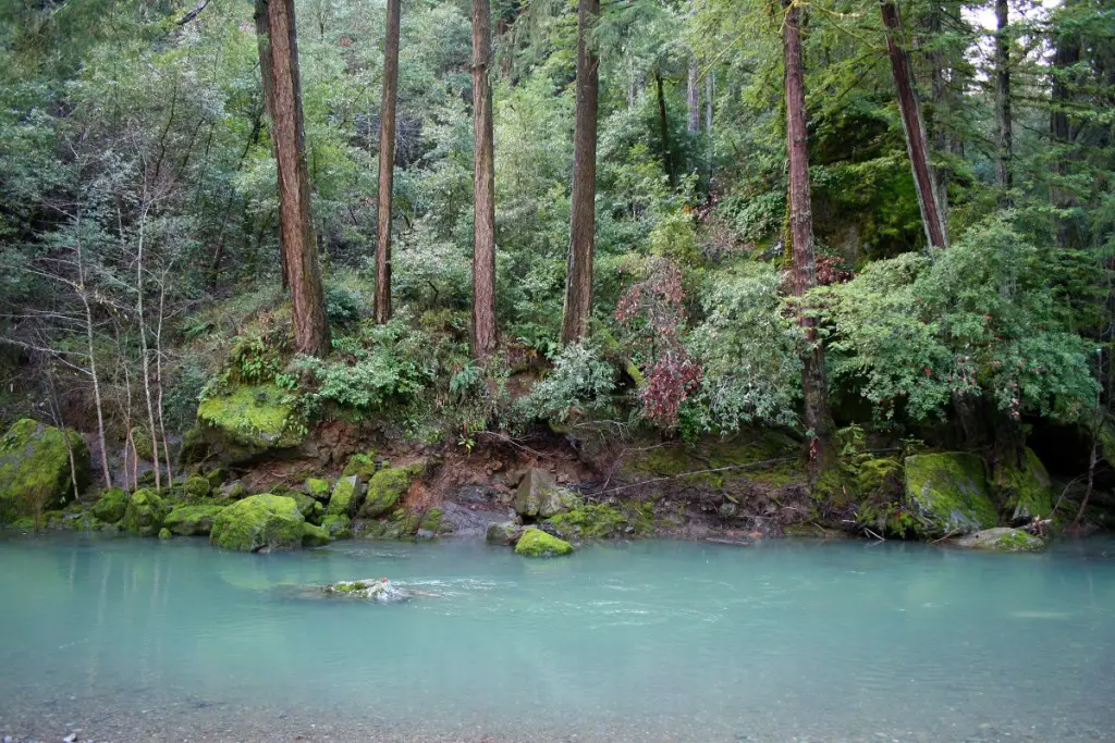 Austin Creek, Cazadero, California, United States - loresjoberg