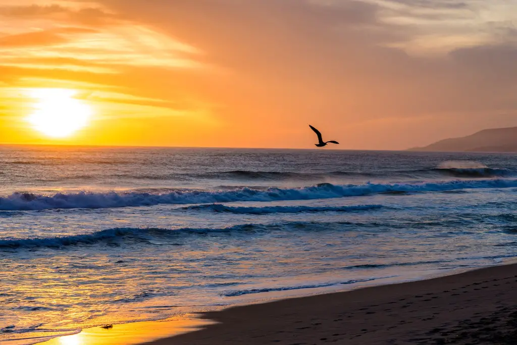 Malibu Beach California US