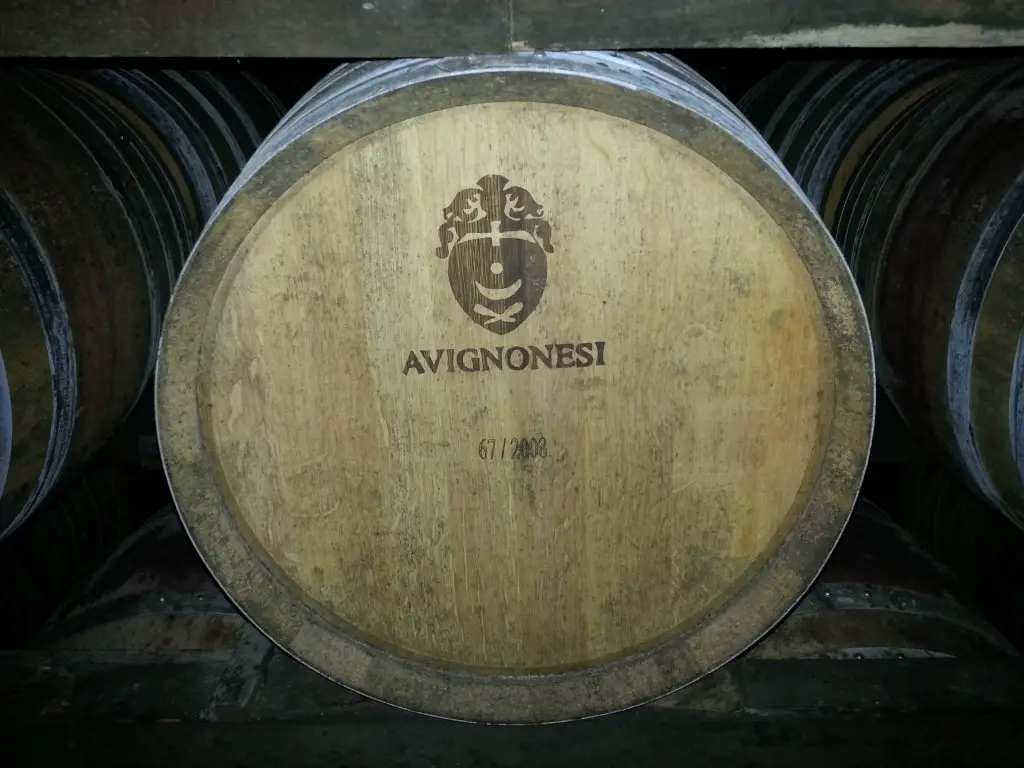 Avignonesi winery, Tuscany