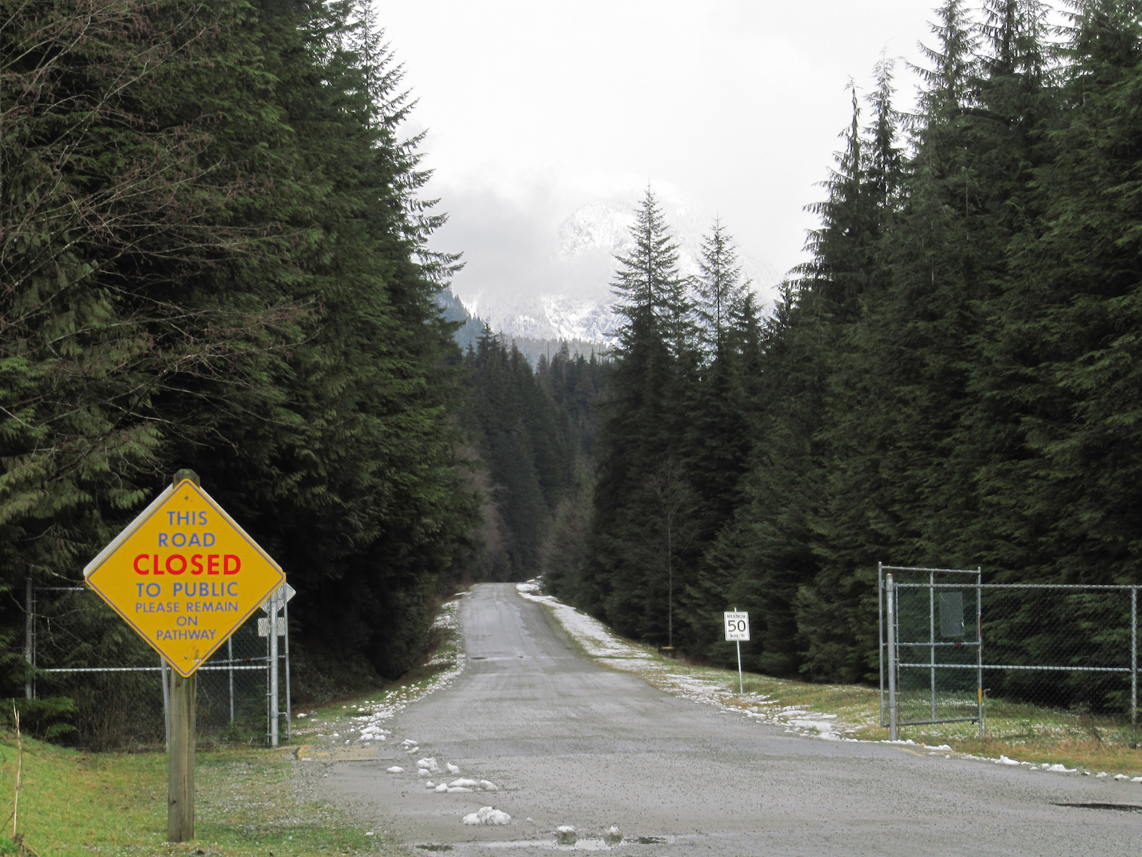 [X-Files locations] The truth is out there… in the Vancouver forest!