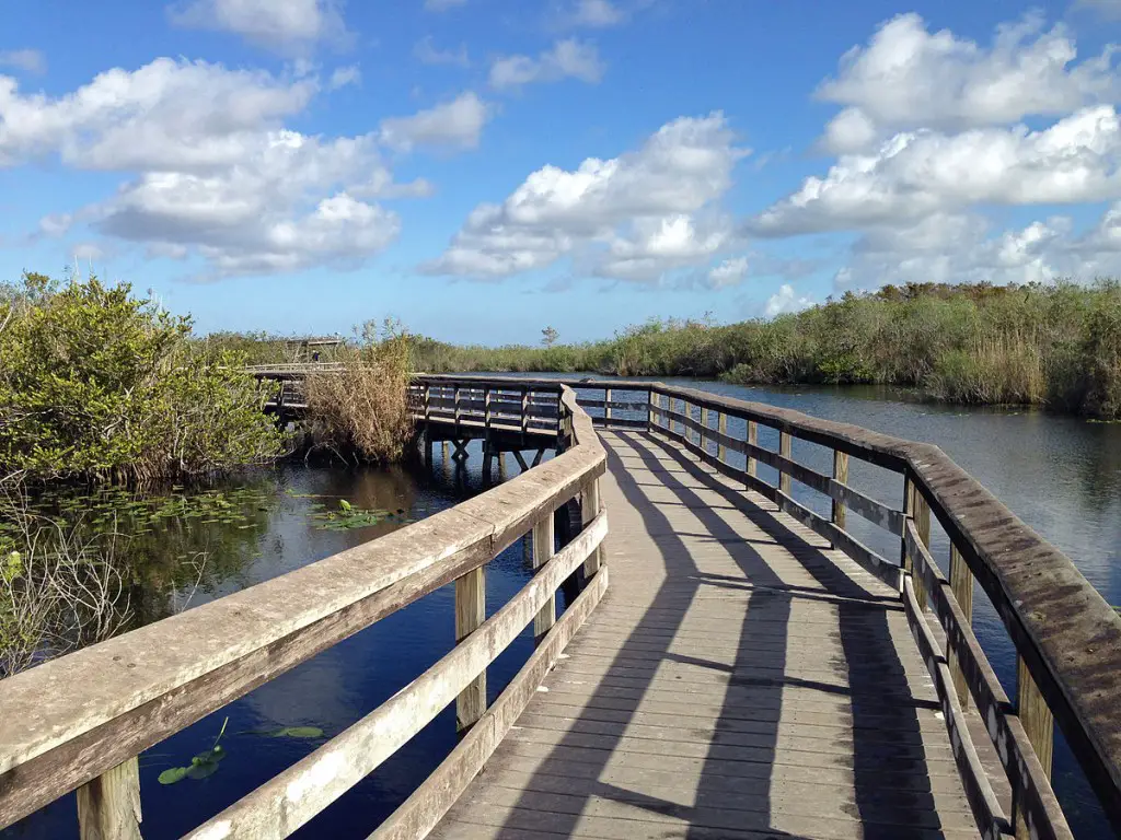 Anhinga Trail boardwalk, Everglades, South Florida, US - Fredlyfish4