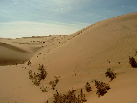 Gobi Desert, Mongolia