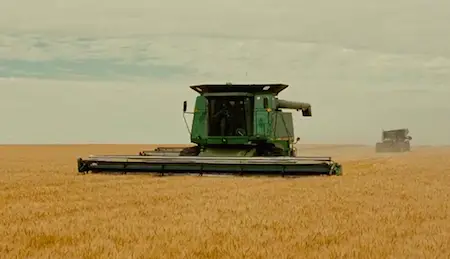 Grain harvest, Carthage South Dakota (Into the Wild, 2007)