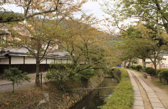 Philosopher's Walk Kyoto Japan