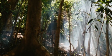 Indiana Jones Raiders of the Lost Ark, Peruvian Jungle, Kauai island in Hawaii, United States