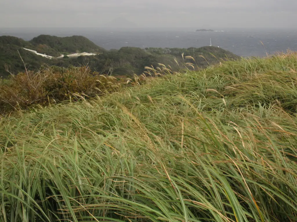 Izu Peninsula, Japan