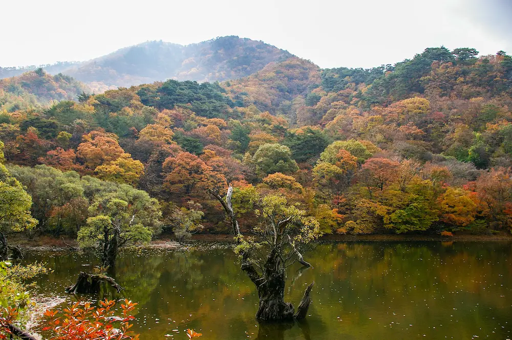 Jusanji Pond, South Korea - filming location spring summer