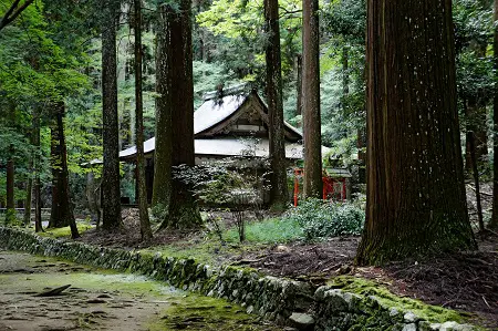 Kozanji, Kyoto