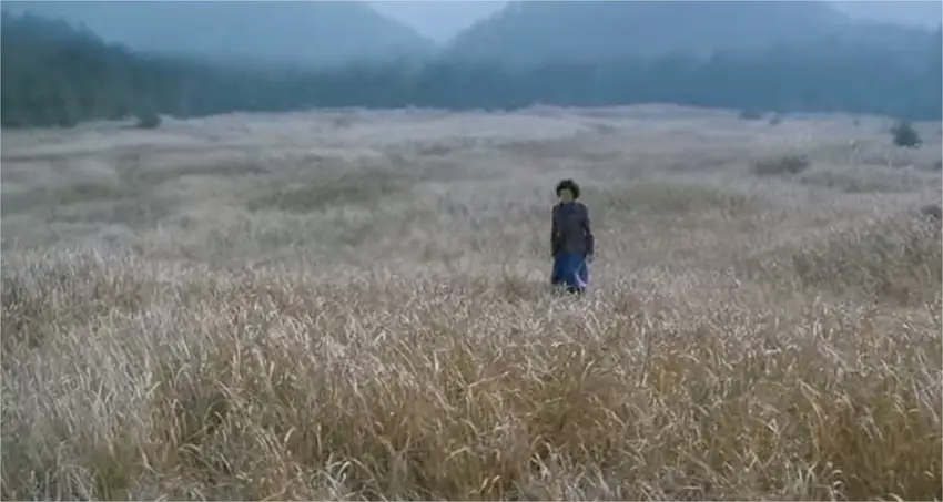 Opening scene, Jeolla, South Korea, Mother (2009)